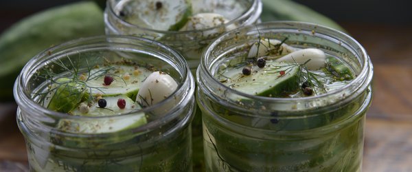 Fridge Pickles Fridge Pickles